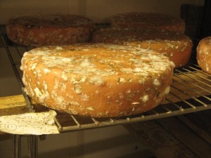 Awesome Rind Development