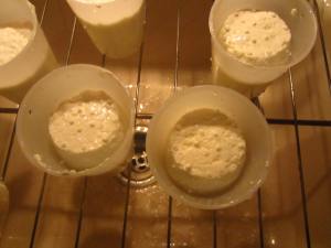 Curd Forming