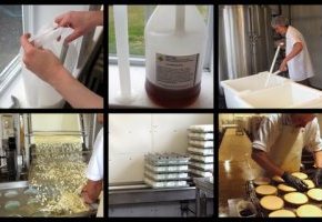 Flocculation and Cheese Making at the Cellars at Jasper Hill